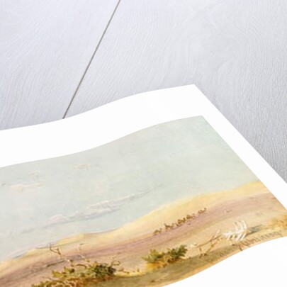 Sand Hills in the Desert, Cairo, Suez, 1859 by Carl Haag