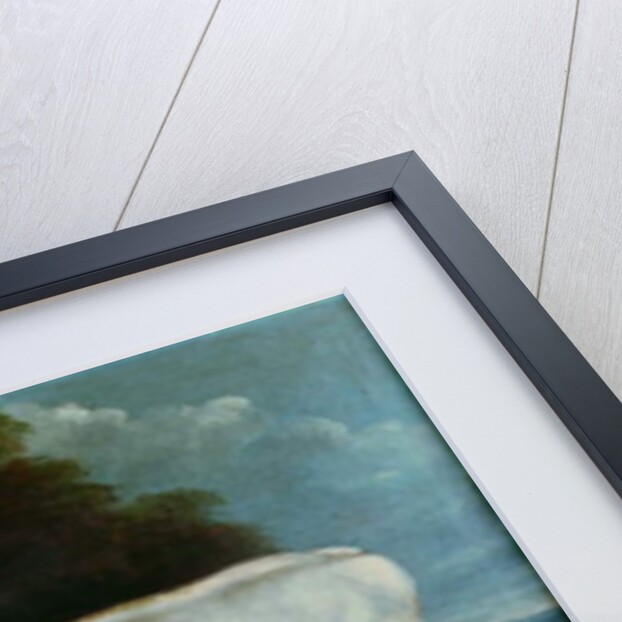 A shorthorn cow by English School