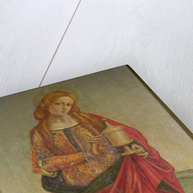 A Female Saint with a Chalice, possibly Mary Magdalene, probably 16th century by Italian School