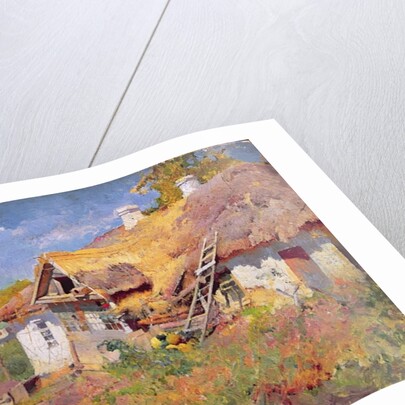 Ukrainian Cottages, 1906 by Petr Levchenko