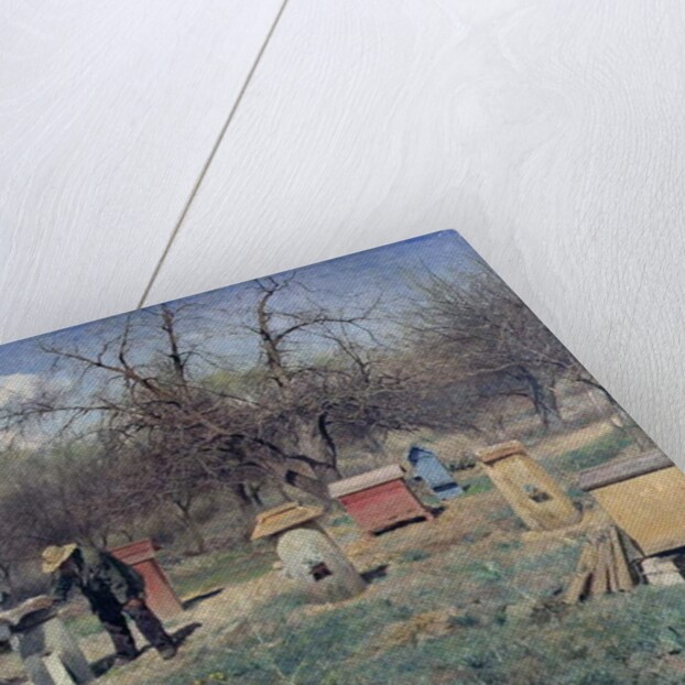 A Spring Day, or Beehives, 1899 by Sergei Ivanovich Svetoslavsky