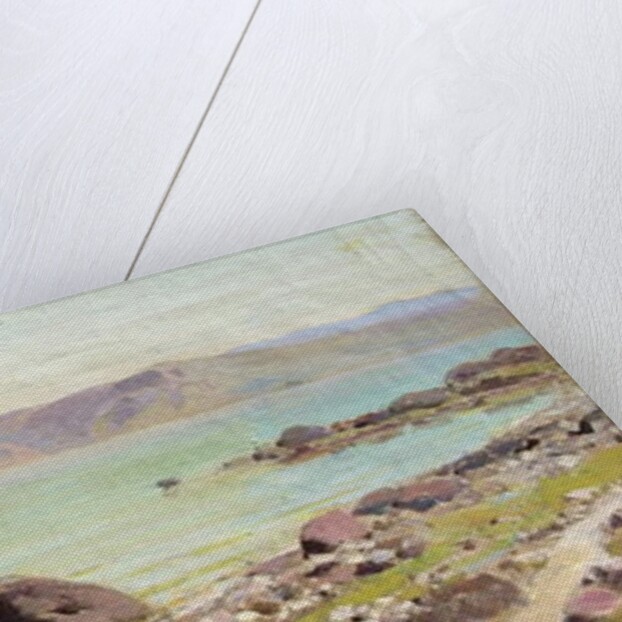 Rocky Shore, 1889 by Vasilij Dmitrievich Polenov