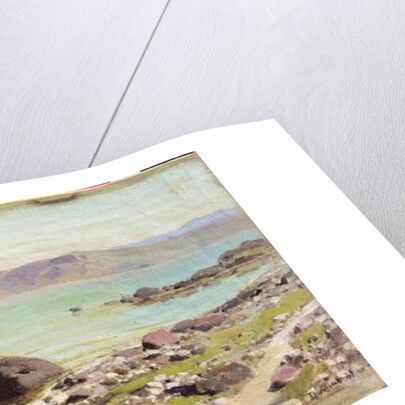 Rocky Shore, 1889 by Vasilij Dmitrievich Polenov