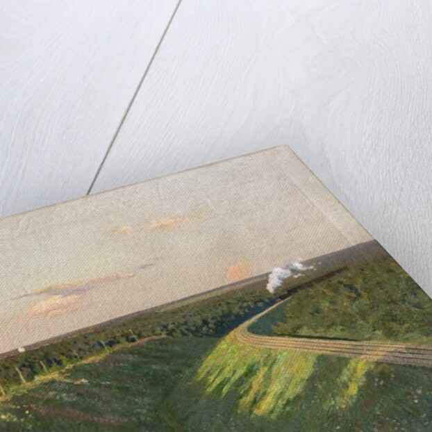 A Train on its Journey by Isaak Ilyich Levitan