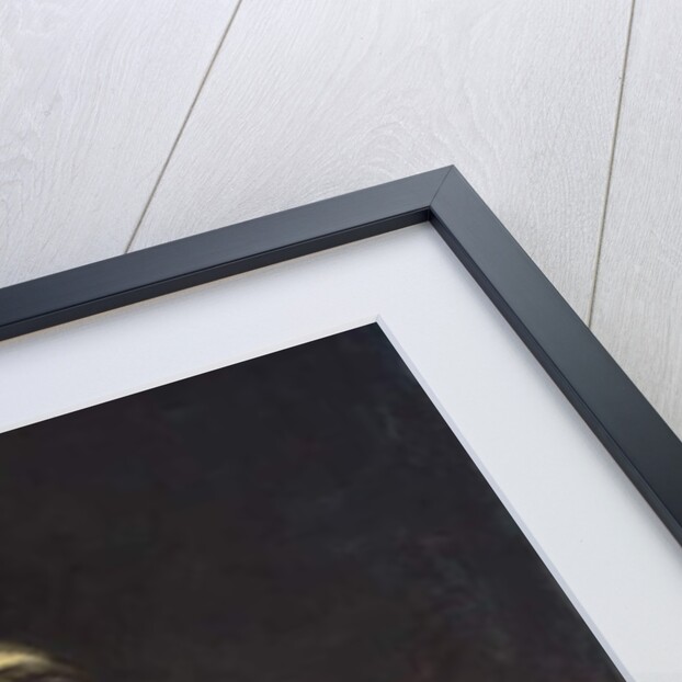 Woman Bathing, 1875 by Andrej Franzowitsch Belloli