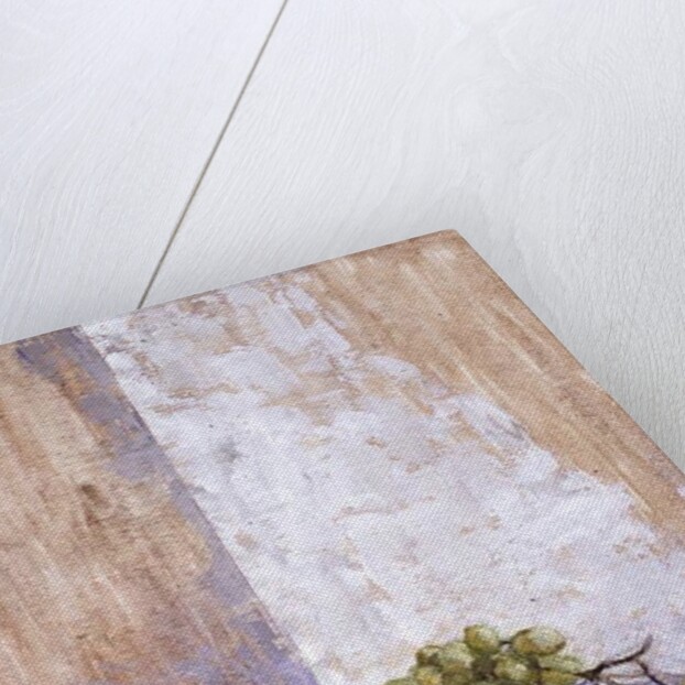 Peaches and Grapes, 1993 by Diana Schofield