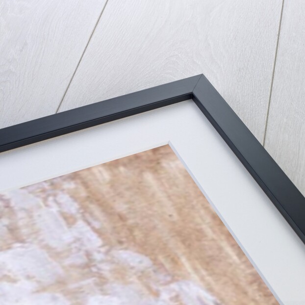 Peaches and Grapes, 1993 by Diana Schofield