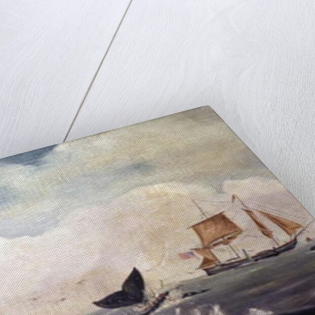 Whaling in the South Pacific by American School