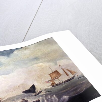 Whaling in the South Pacific by American School