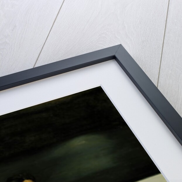 Georg Brandes at the University in Copenhagen, 1889 by Harald Slott-Moller