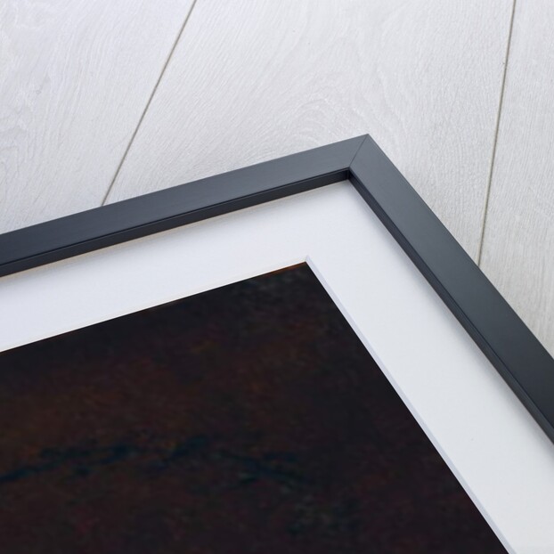 Vanitas, 1692 by Francois van Daellen