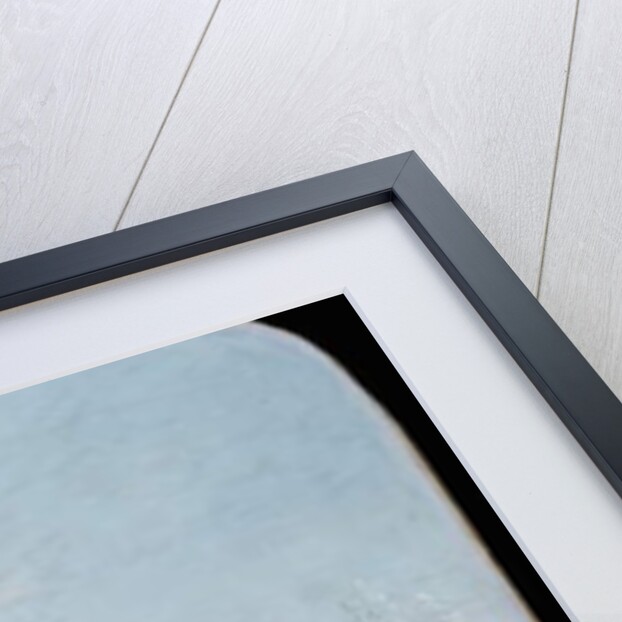 The Grape Gatherer, 1748-52 by Jean-Honore Fragonard