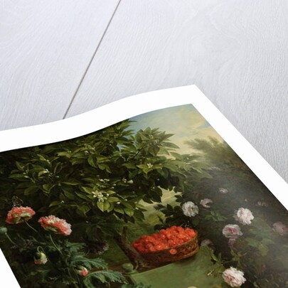 Summer, 1711 by Alexandre-Francois Desportes