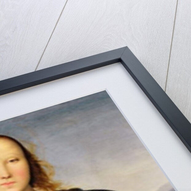 Madonna and Child, c.1500 by Pietro Perugino