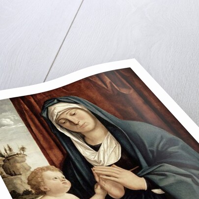 Madonna and Child, late 15th to early 16th century by Giovanni Battista Cima da Conegliano