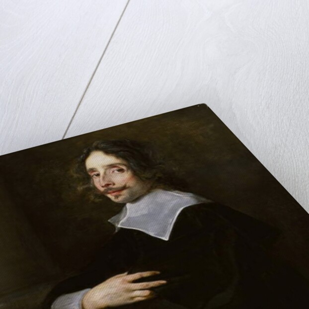 Young Man, c.1650 by Jan Cossiers