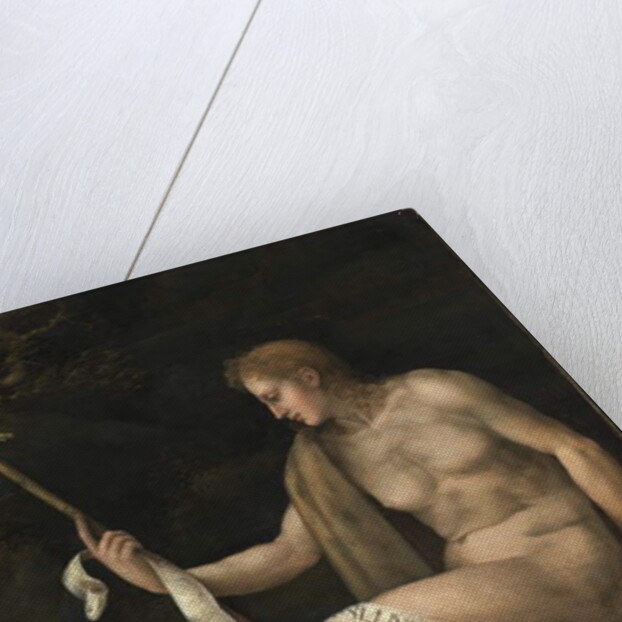 Saint John the Baptist in the Wilderness by Francesco Ubertini Il Bacchiacca