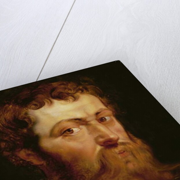 The Commander's Head by Peter Paul Rubens