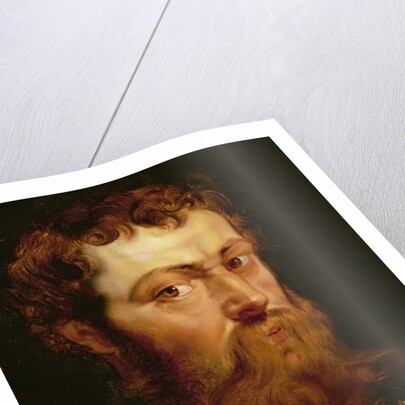 The Commander's Head by Peter Paul Rubens