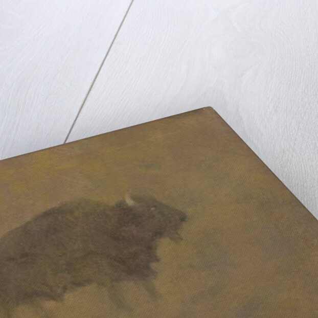 Buffalo in a Sandstorm by Albert Bierstadt