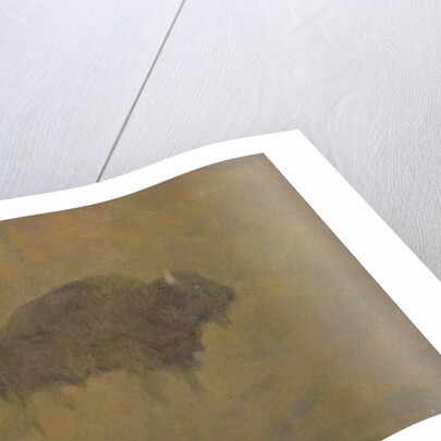 Buffalo in a Sandstorm by Albert Bierstadt