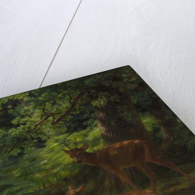 Deer in Repose, 1867 by Rosa Bonheur