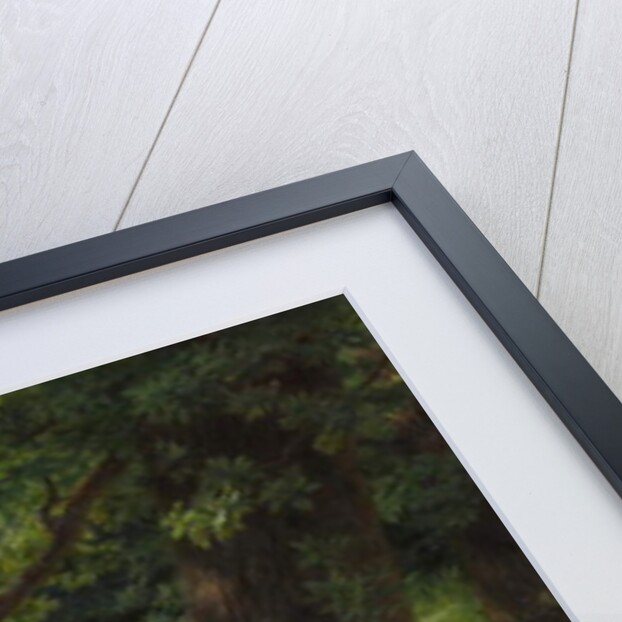 Deer in Repose, 1867 by Rosa Bonheur