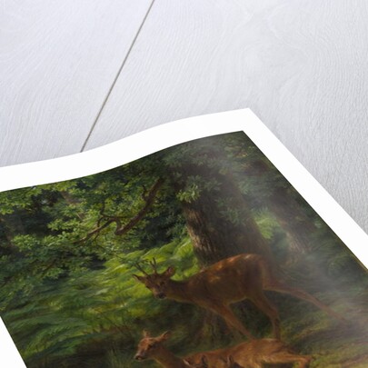 Deer in Repose, 1867 by Rosa Bonheur