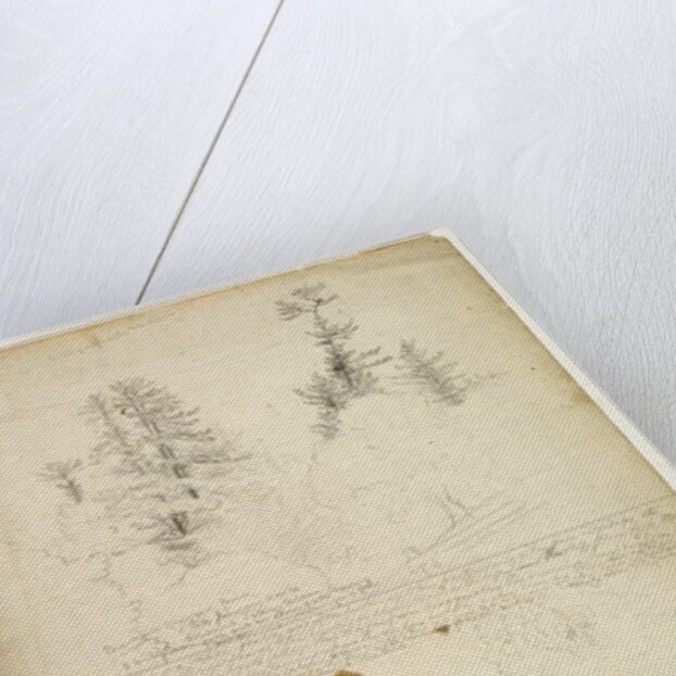 Beautiful Groups of Pines; Tints from Maples, New Hampshire, September 30th 1828 by Thomas Cole