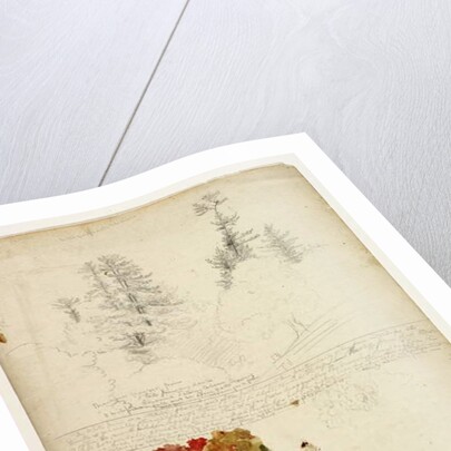 Beautiful Groups of Pines; Tints from Maples, New Hampshire, September 30th 1828 by Thomas Cole