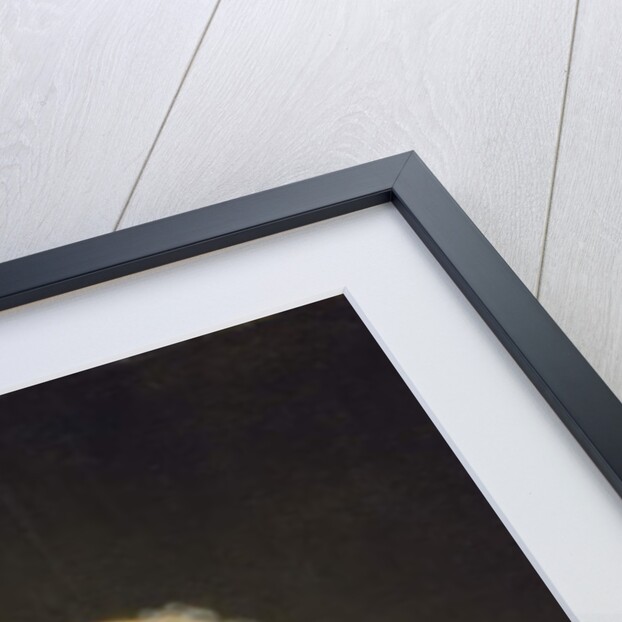 General Amasa Davis, c.1820 by Gilbert Stuart