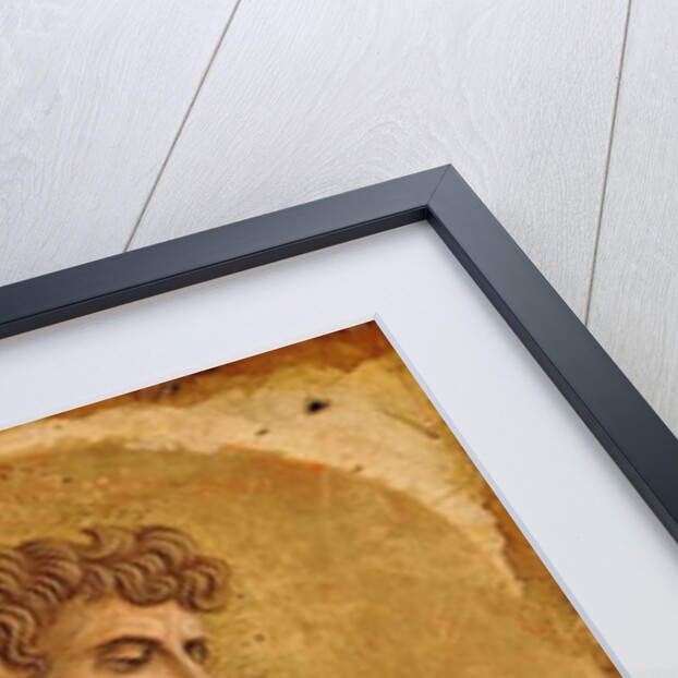 Il polittico di Montefiore by Carlo Crivelli