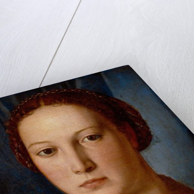 Costanza da Sommaia, c.1540 by Agnolo di Cosimo Bronzino