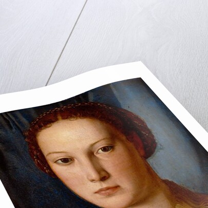 Costanza da Sommaia, c.1540 by Agnolo di Cosimo Bronzino