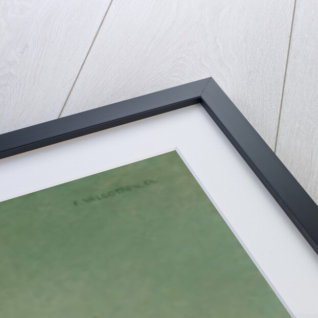 Standing nude holding a gown on her knee, 1904 by Felix Edouard Vallotton