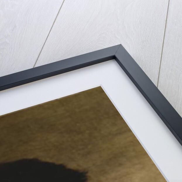 Self Portrait, c.1650 by Salvator Rosa