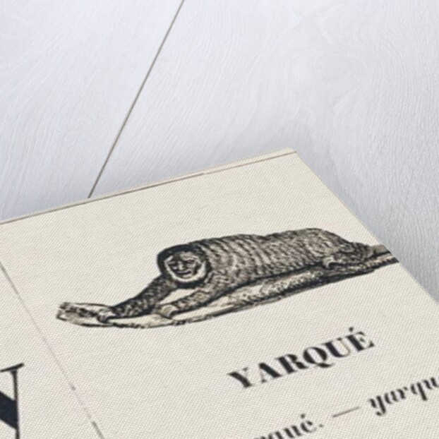 Y Z: Yarque — Zebra, 1850 by Louis Simon Lassalle