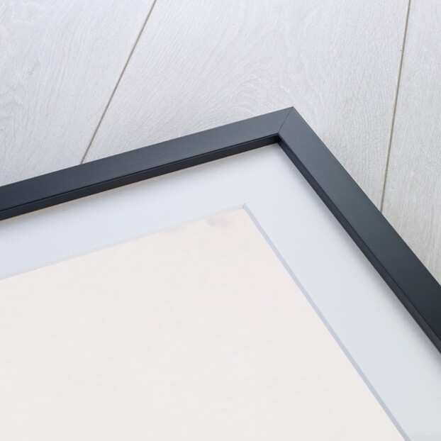 Moving Image, Series 1, 2012 by Emma Kennaway