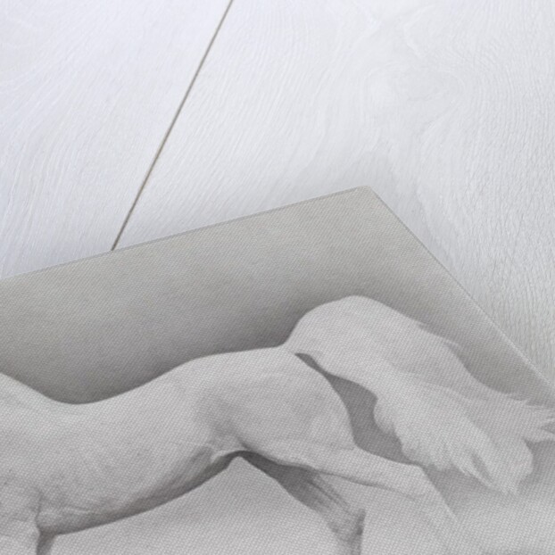 Moving Image, Series 2, 2013 by Emma Kennaway