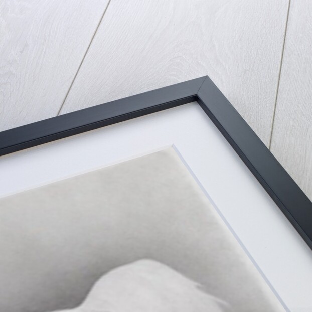 Moving Image, Series 2, 2013 by Emma Kennaway