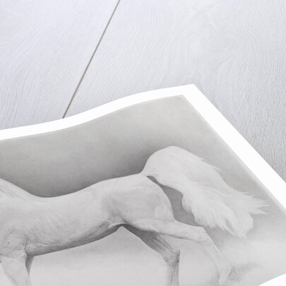 Moving Image, Series 2, 2013 by Emma Kennaway