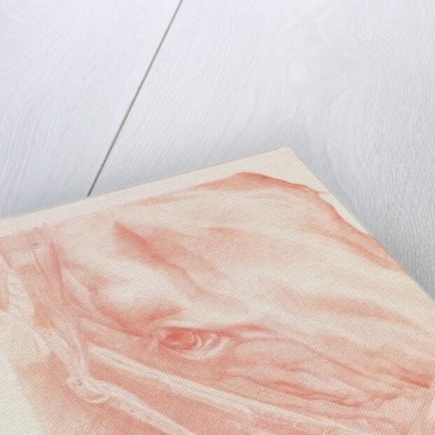Portrait Head, 2012 by Emma Kennaway