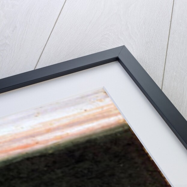 A Prince with Two Concubines by Indian School