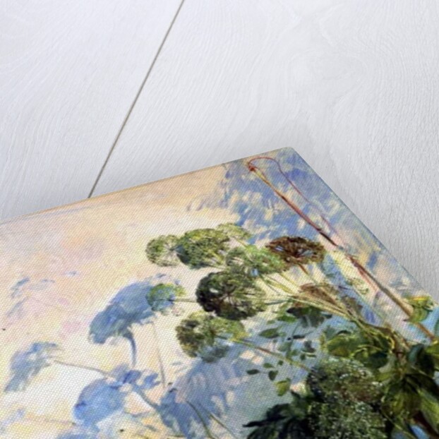 Angelica Shadows by Timothy Easton