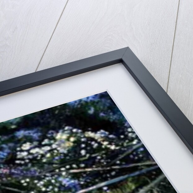 The Rose Trellis, Bedfield, 1996 by Timothy Easton