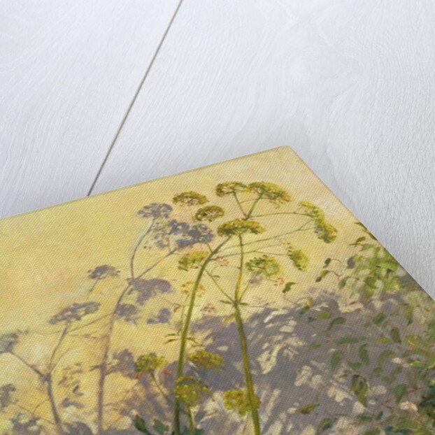 Lovage, Clematis and Shadows, 1999 by Timothy Easton