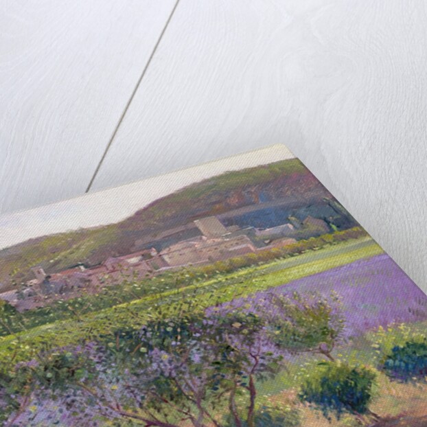 Lavender Seen Through Quince Trees, Monclus by Timothy Easton