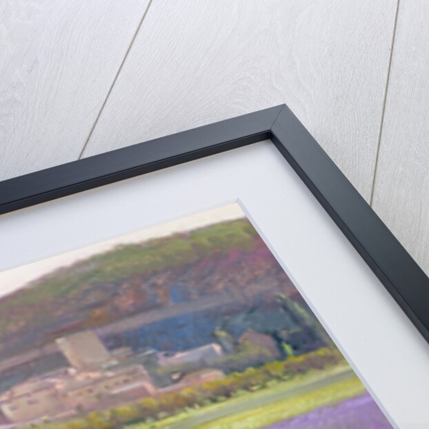 Lavender Seen Through Quince Trees, Monclus by Timothy Easton