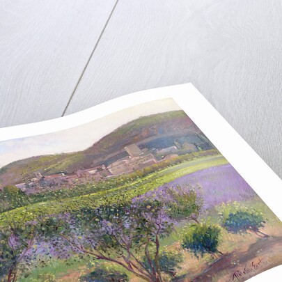 Lavender Seen Through Quince Trees, Monclus by Timothy Easton