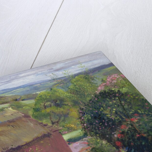 Thatching the Summer House, Lanhydrock House, Cornwall, 1993 by Timothy Easton